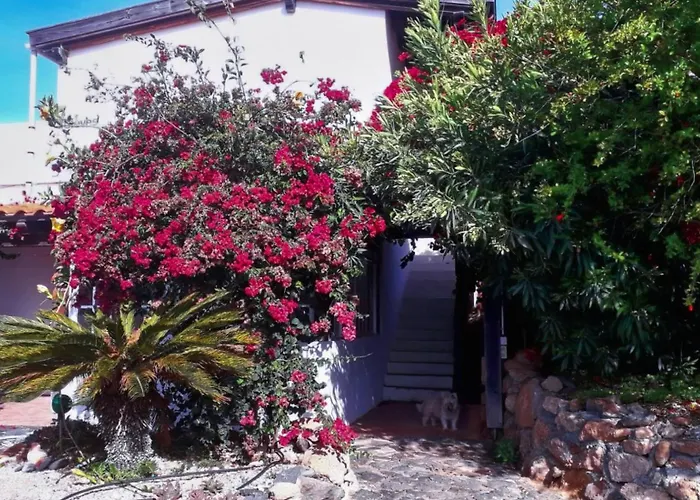 Casa Natural Individualurlaub Abseits Des Massentourismus, Chillen, Wandern, Surfen, Klettern, * La Sabinita